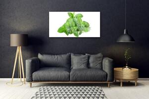 Obraz na skle Máta Rostlina Příroda 100x50 cm