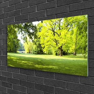 Obraz na skle Tráva Stromy Park Příroda 140x70 cm