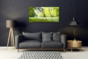 Obraz na skle Tráva Stromy Park Příroda 140x70 cm