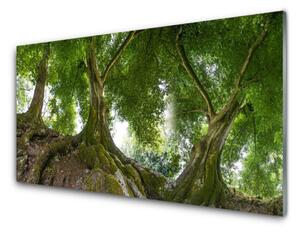 Skleněné obklady do kuchyně Stromy Rostlina Příroda 120x60 cm