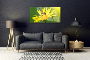 Obraz na skle Vosa Květ Rostlina Příroda 125x50 cm