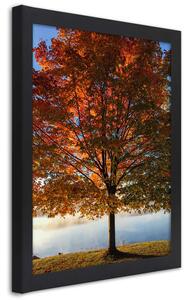 Plakát Podzimní strom Barva rámu: Černá, Rozměry: 20 x 30 cm