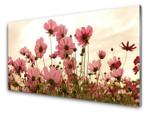 Skleněné obklady do kuchyně Polní Květiny Louka Příroda 125x50 cm