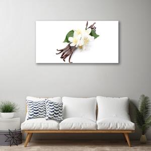 Obraz na skle Vanilková Tyčinka do Kuchyně 120x60 cm