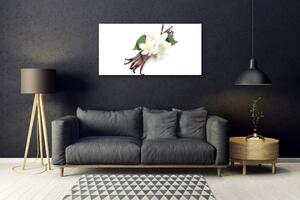 Obraz na skle Vanilková Tyčinka do Kuchyně 120x60 cm