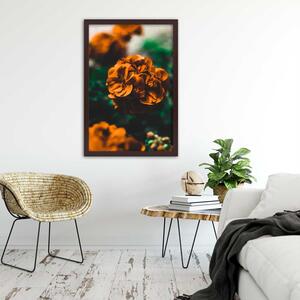 Plakát Oranžové letní květiny Barva rámu: Bez rámu, Velikost: 20 x 30 cm