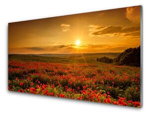 Obraz na skle Pole Máky Západ Slunce Louka 100x50 cm