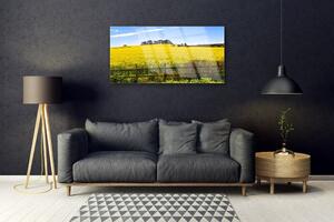 Obraz na skle Pole Rostlina Krajina 125x50 cm
