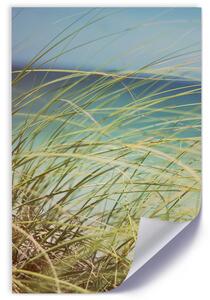 Plakát Zelené trávy na pozadí moře Barva rámu: Bez rámu, Velikost: 20 x 30 cm