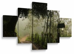 Obraz ranní mlhy (125x70 cm)