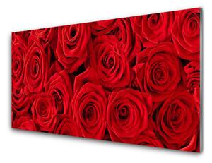 Skleněné obklady do kuchyně Růže Květiny Rostlina 125x50 cm