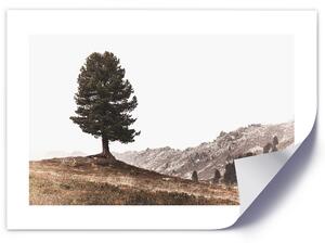 Plakát Strom na kopci Barva rámu: Hnědá, Rozměry: 100 x 70 cm