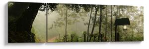 Obraz ranní mlhy (170x50 cm)