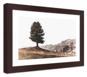 Gario Plakát Strom na kopci Barva rámu: Hnědá, Velikost: 100 x 70 cm