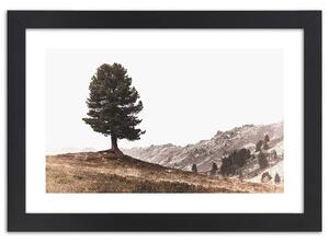 Plakát Strom na kopci Barva rámu: Bílá, Rozměry: 100 x 70 cm