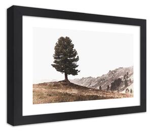 Plakát Strom na kopci Barva rámu: Bílá, Rozměry: 100 x 70 cm