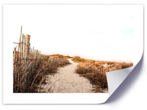Plakát Sandy path Barva rámu: Bílá, Rozměry: 100 x 70 cm