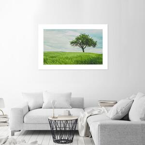Plakát Strom v poli Barva rámu: Hnědá, Rozměry: 100 x 70 cm
