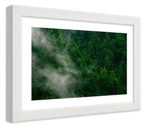 Gario Plakát Mlha nad lesem Barva rámu: Bílá, Velikost: 100 x 70 cm