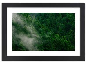 Plakát Mlha nad lesem Barva rámu: Hnědá, Rozměry: 100 x 70 cm