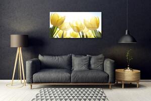 Obraz na skle Tulipány Květiny Paprsky 140x70 cm