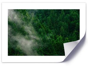 Plakát Mlha nad lesem Barva rámu: Bílá, Rozměry: 100 x 70 cm