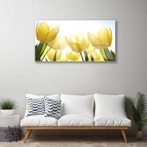 Obraz na skle Tulipány Květiny Paprsky 125x50 cm
