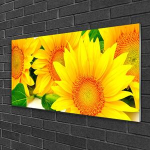 Obraz na skle Slunečnice Květ Příroda 140x70 cm