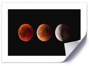 Plakát Fáze Měsíce Barva rámu: Bílá, Rozměry: 100 x 70 cm
