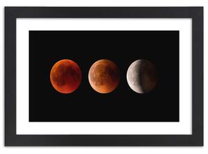 Plakát Fáze Měsíce Barva rámu: Bílá, Rozměry: 100 x 70 cm