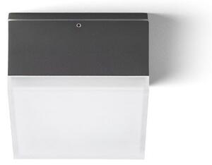 RED R13629 ORIN SQ stropní antracitová satinovaný akryl 230V LED 10W IP54 3000K - RED - DESIGN RENDL