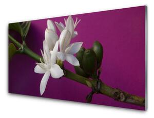 Skleněné obklady do kuchyně Květiny Úhonky Příroda 125x50 cm