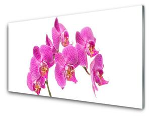 Skleněné obklady do kuchyně Orchidej Květiny Příroda 140x70cm