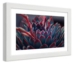 Gario Plakát Krásná rostlina Barva rámu: Bílá, Velikost: 100 x 70 cm