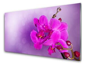 Skleněné obklady do kuchyně Květiny Plátky Orchidej 125x50 cm