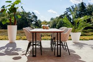 Delphine Diamond zahradní jídelní židle