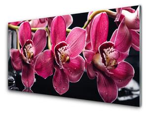 Skleněné obklady do kuchyně Květiny Orchideje Výhonky Příroda 140x70cm
