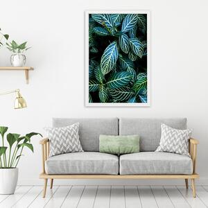 Plakát Šťavnaté zelené listy Barva rámu: Bez rámu, Velikost: 20 x 30 cm