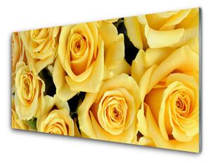 Akrylový obraz Růže Květiny Rostlina 120x60 cm