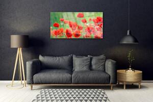 Akrylový obraz Máky Rostlina Příroda 100x50 cm