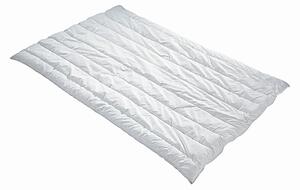 LETNÍ PŘIKRÝVKA, 155/220 cm, polyester Centa-Star - Přikrývky, Online Only
