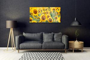Obraz na skle Slunečnice Rostlina Příroda 140x70 cm