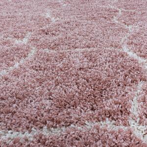 Ayyildiz Kusový koberec SALSA 3201, Růžová Rozměr koberce: 80 x 150 cm