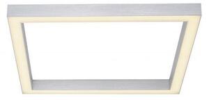 Paul Neuhaus Stropní LED svítidlo PURE-LINES, 36W, 55x55 cm, CCT 2700-5000K
