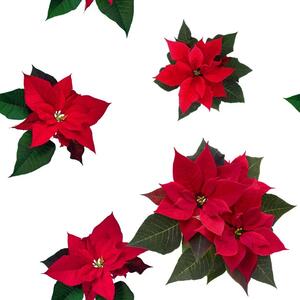 Metráž dekorační látka Rova - Vánoční hvězda