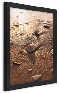 Plakát Kameny a mušle na pláži Barva rámu: Černá, Rozměry: 20 x 30 cm