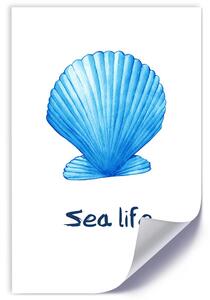 Plakát Modrá mušle s nápisem sea life Barva rámu: Bez rámu, Rozměry: 30 x 45 cm