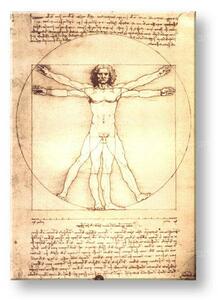 Obraz na plátně VITRUVIÁNSKY MUŽ– Leonardo Da Vinci