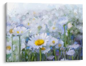 Obraz - V kopretinách (70x50 cm)