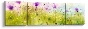 Obraz - Luční kvítí (170x50 cm)